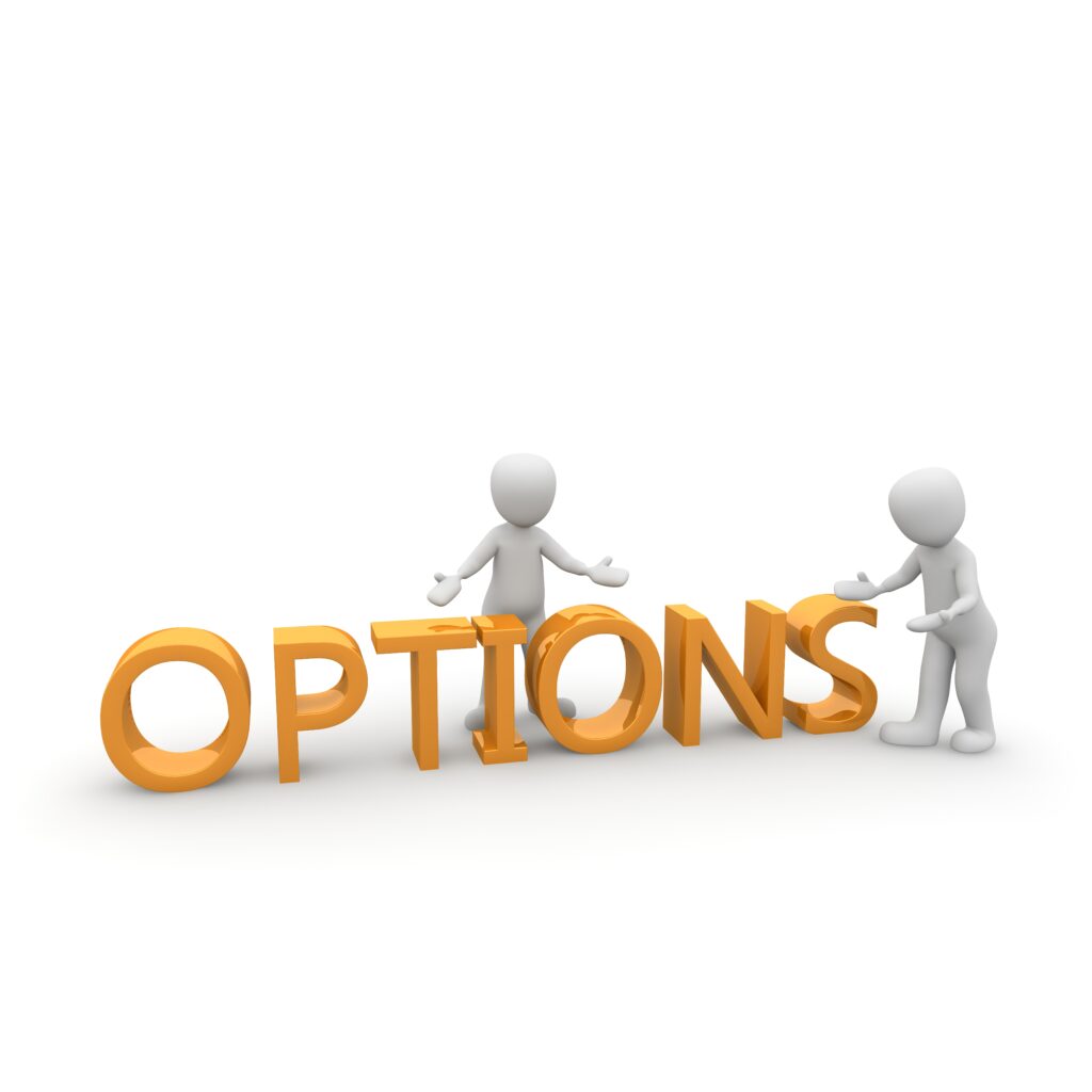 Patent application options - provisional vs. nonprovisional