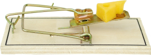 Mousetrap photo - Can you patent an idea? - Patent Attorney Long Island